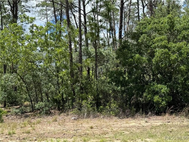 8959 N Farrington Dr, Citrus Springs, FL 34433