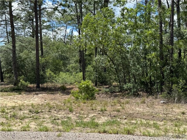 8959 N Farrington Dr, Citrus Springs, FL 34433