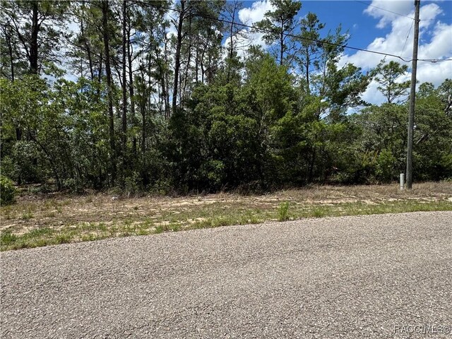 8959 N Farrington Dr, Citrus Springs, FL 34433