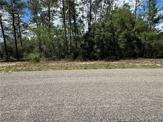 8959 N Farrington Dr, Citrus Springs, FL 34433