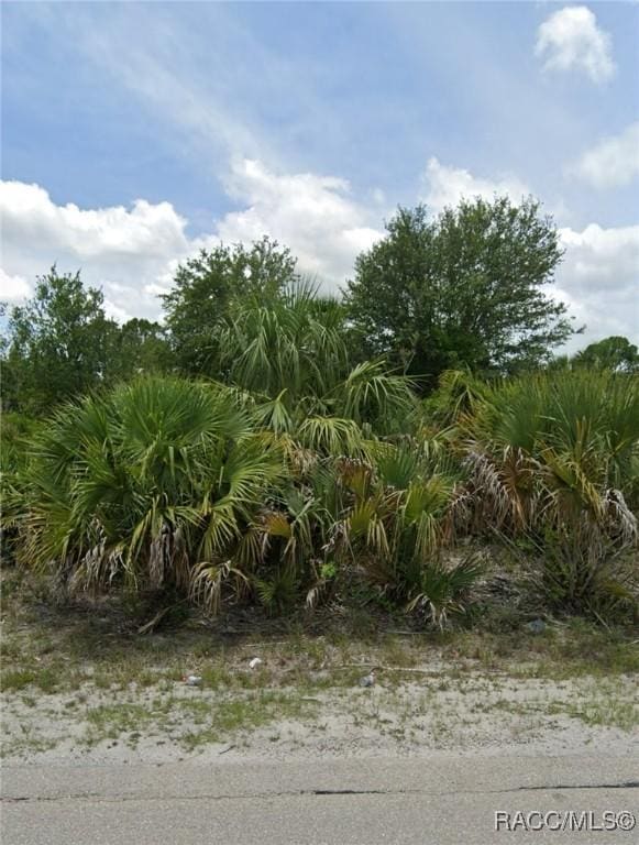 3219 59th St W, Lehigh Acres FL, 33971 land for sale