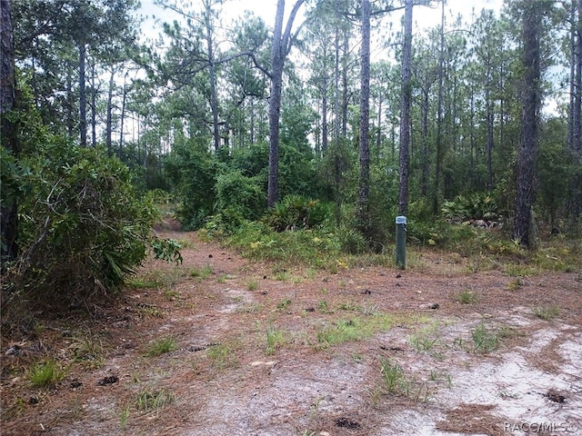 Listing photo 2 for 5410 N Smokey Mountain Pt, Crystal River FL 34428