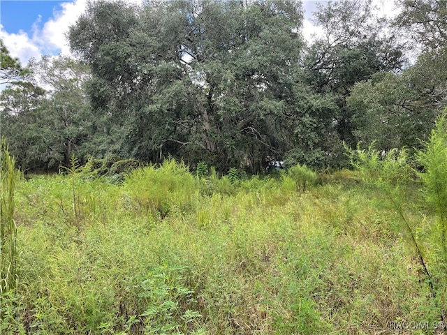 4685 W Bobby Ct, Lecanto FL, 34461 land for sale