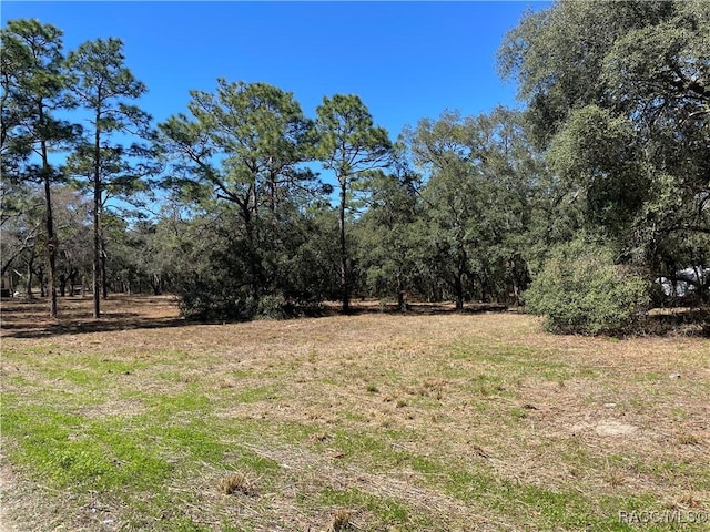 4685 W Bobby Ct, Lecanto FL, 34461 land for sale