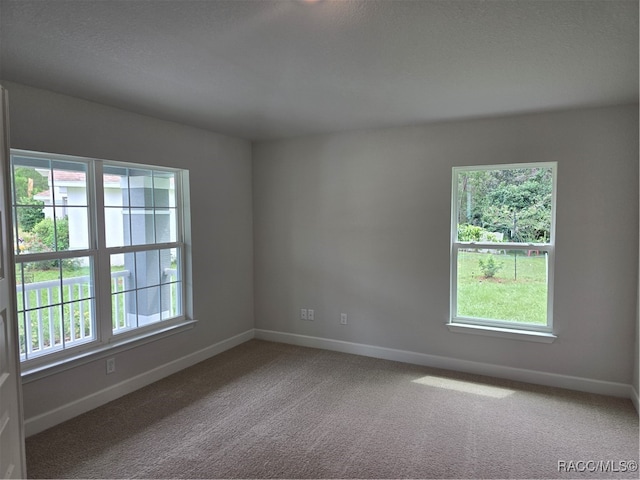 unfurnished room with carpet flooring