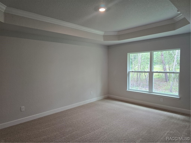 unfurnished room with a textured ceiling, carpet floors, a tray ceiling, and ornamental molding