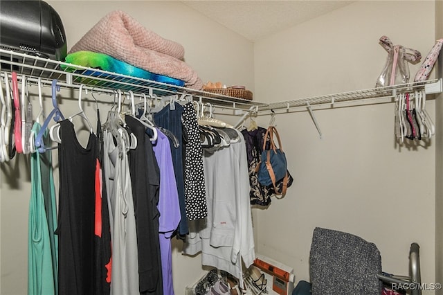 view of walk in closet