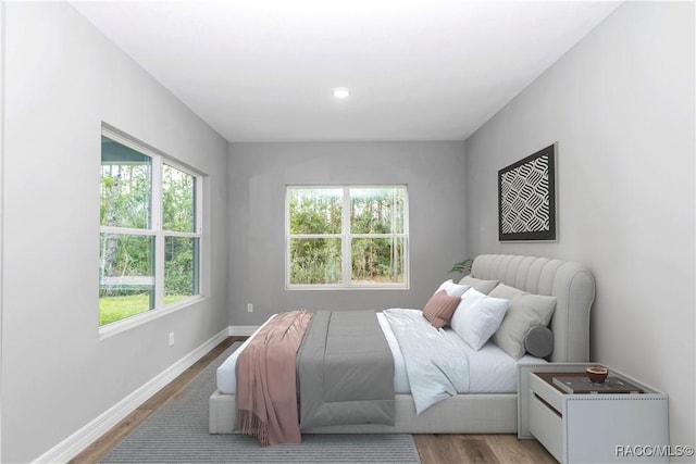7024 N Fountainhead Dr, Citrus Springs, FL 34433 - bedroom with light wood-style floors