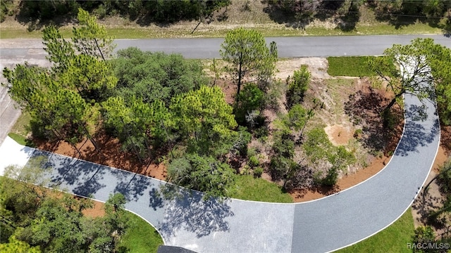 7024 N Fountainhead Dr, Citrus Springs, FL 34433 - aerial view