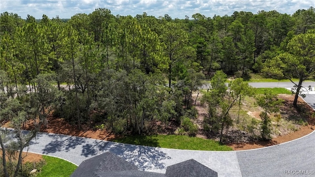 7024 N Fountainhead Dr, Citrus Springs, FL 34433 - aerial view of a forest