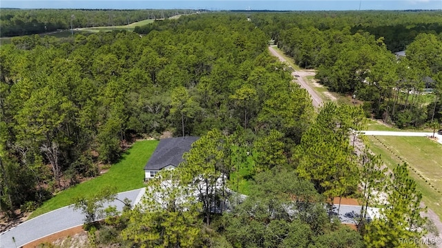 7024 N Fountainhead Dr, Citrus Springs, FL 34433 - aerial view of a forest
