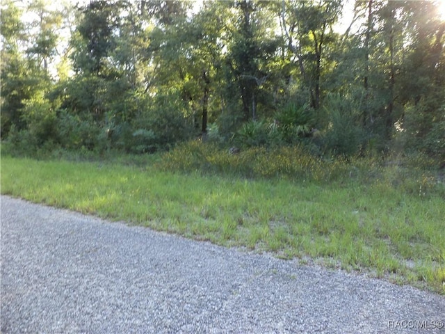 6402 N Matheson Dr, Citrus Springs, FL 34434