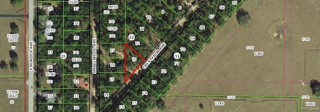 318 S Crestview Ave, Inverness FL, 34452 land for sale