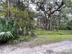 Listing photo 2 for 5555 S Park Hill Way, Homosassa FL 34448