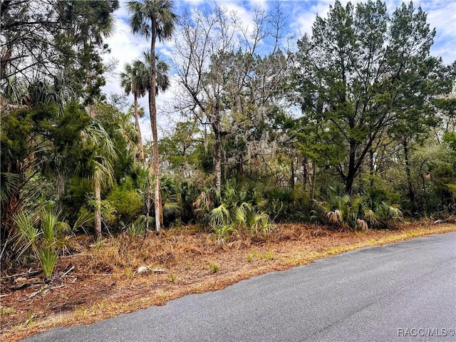 6250 S Banyon Dr, Homosassa FL, 34448 land for sale