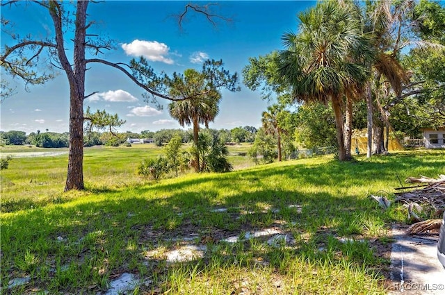 view of green lawn