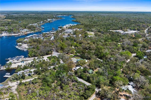 drone / aerial view featuring a forest view and a water view