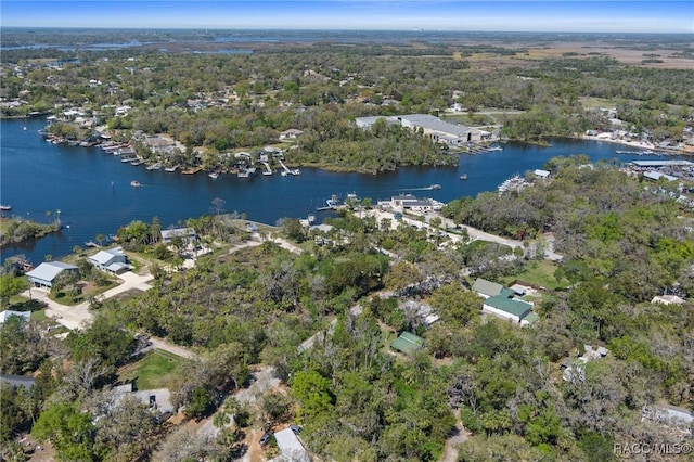 drone / aerial view featuring a forest view and a water view