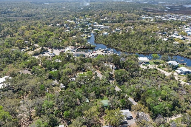 bird's eye view with a wooded view and a water view