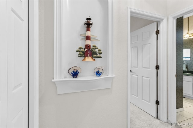 interior details featuring carpet flooring