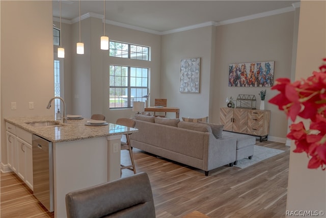 living room featuring light hardwood / wood-style floors, ornamental molding, and sink