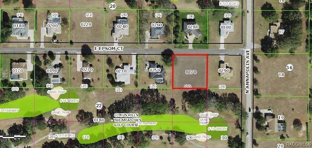 804 E Epsom Ct, Hernando, FL 34442 - photo 9