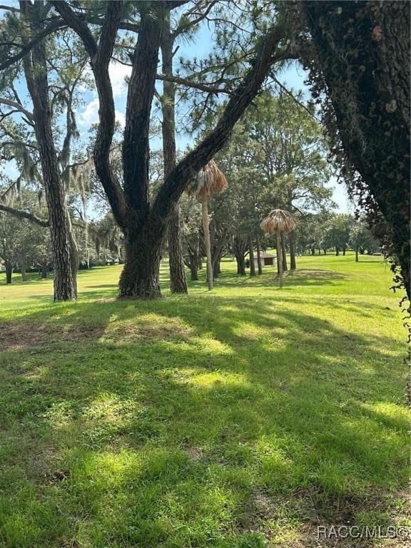 804 E Epsom Ct, Hernando, FL 34442 - photo 4