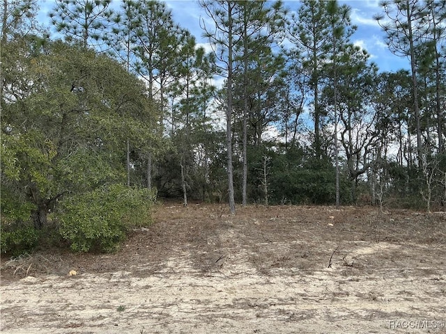 9581 N Wallace Way, Citrus Springs, FL 34434
