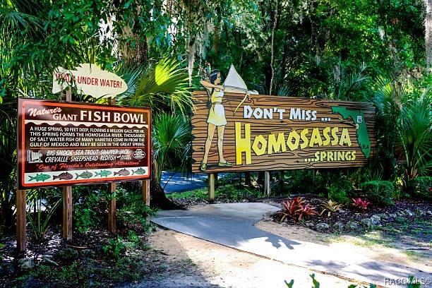 5 Cypress Run Unit 52A, Homosassa, FL 34446 - photo 47