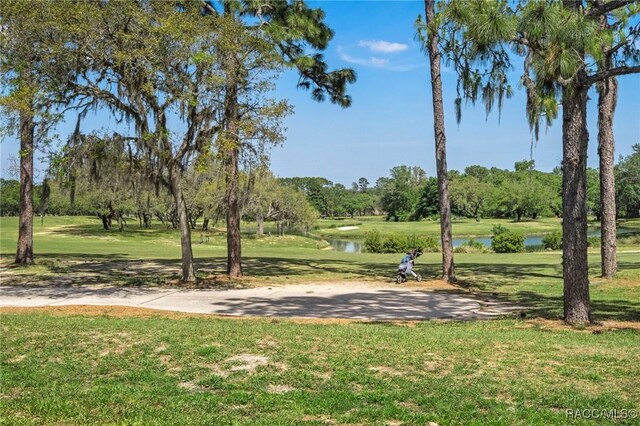 5 Cypress Run Unit 52A, Homosassa, FL 34446 - photo 45
