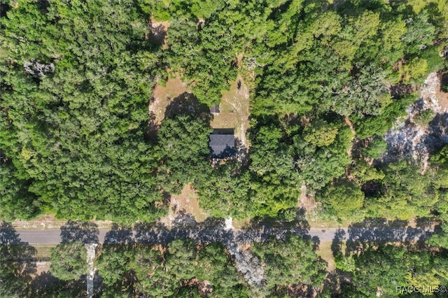 8668 N Elmtree Ave, Crystal River, FL 34428 - photo 42