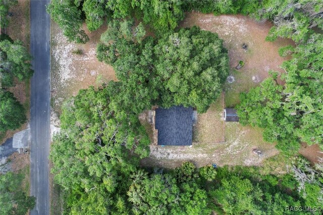 8668 N Elmtree Ave, Crystal River, FL 34428 - photo 41