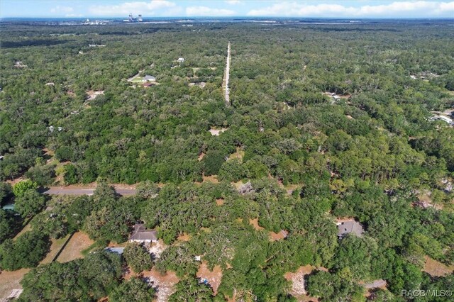 8668 N Elmtree Ave, Crystal River, FL 34428 - photo 44