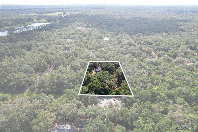 8668 N Elmtree Ave, Crystal River, FL 34428 - photo 3