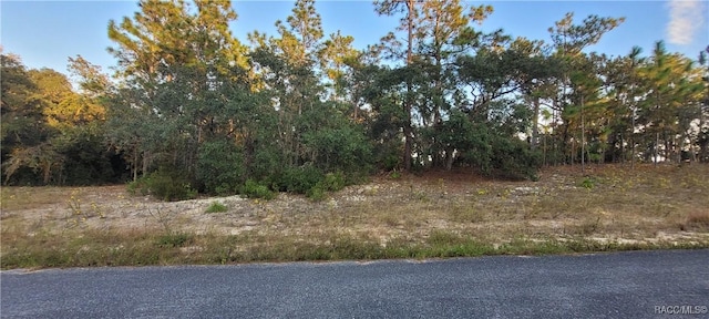 11373 N Kenney Loop, Citrus Springs FL, 34434 land for sale