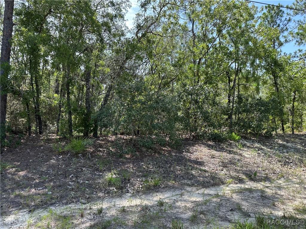 8547 N Trojan Dr, Citrus Springs, FL 34433