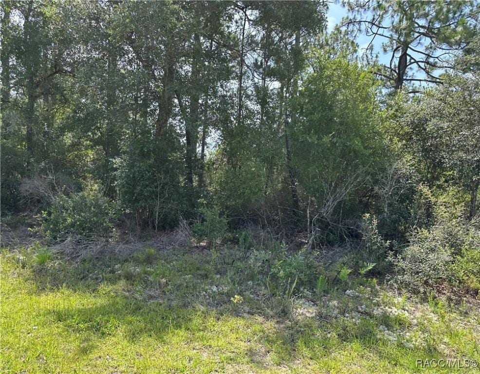 8547 N Trojan Dr, Citrus Springs, FL 34433