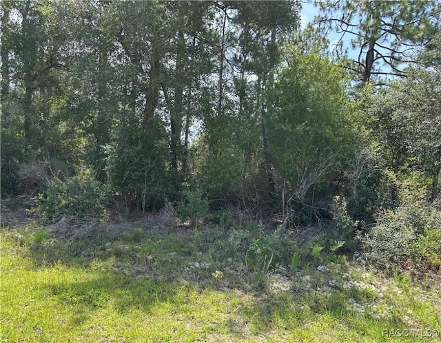 8547 N Trojan Dr, Citrus Springs, FL 34433