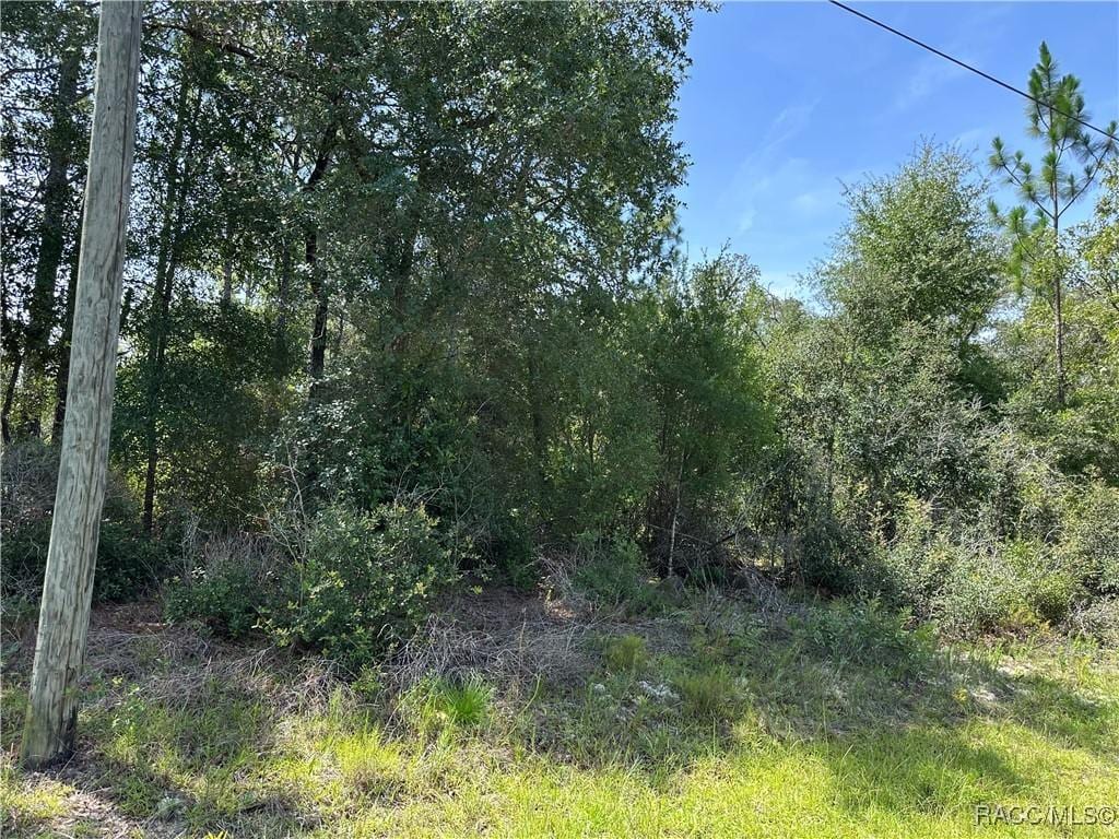 8547 N Trojan Dr, Citrus Springs, FL 34433