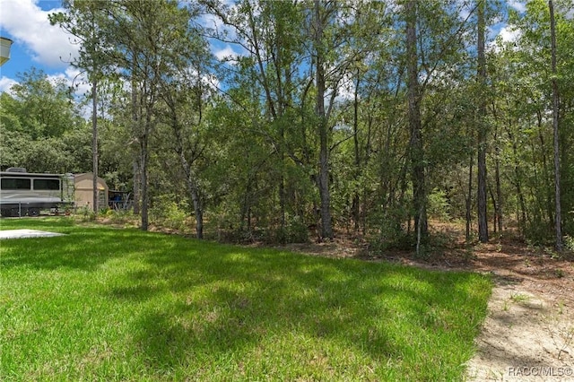 977 W Homeway Loop, Citrus Springs, FL 34434 - view of yard featuring a wooded view