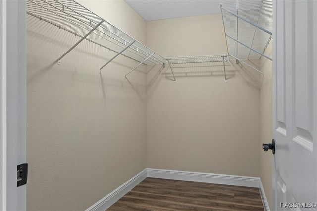977 W Homeway Loop, Citrus Springs, FL 34434 - walk in closet featuring dark wood-type flooring