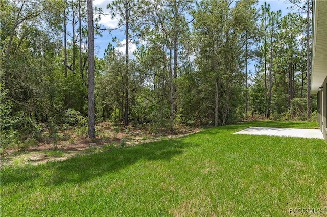 977 W Homeway Loop, Citrus Springs, FL 34434 - view of green lawn