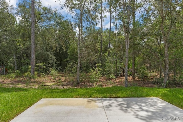 977 W Homeway Loop, Citrus Springs, FL 34434 - view of yard with a patio area and a wooded view