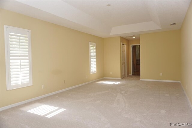 spare room with a tray ceiling, light carpet, and plenty of natural light