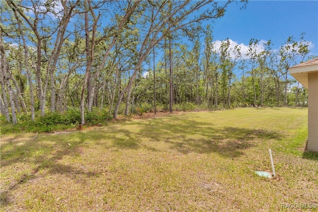 5443 N Nakoma Dr, Beverly Hills, FL 34465 - view of green lawn