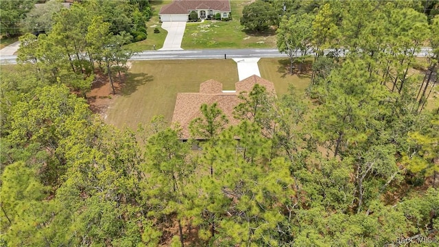 5443 N Nakoma Dr, Beverly Hills, FL 34465 - view from above of property