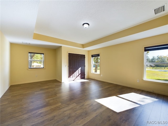 spare room featuring a textured ceiling, dark wood-type flooring, and a healthy amount of sunlight