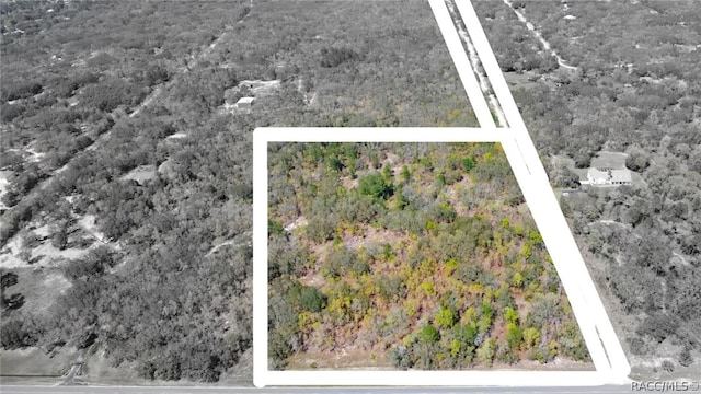 1899 W Cardinal St, Lecanto FL, 34461 land for sale