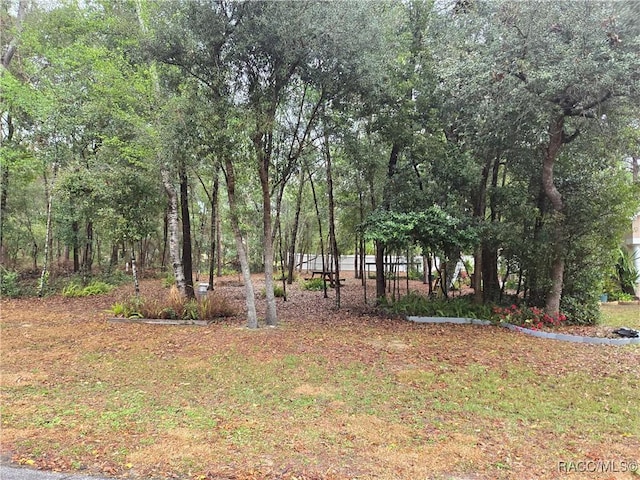 1415 W Saint Elizabeth Pl, Citrus Springs FL, 34434 land for sale