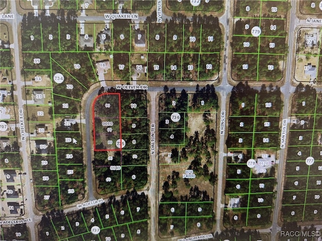 1930 W Oliver Dr, Dunnellon FL, 34434 land for sale